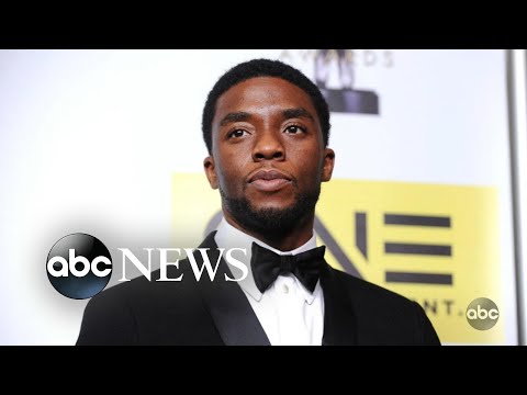 How Chadwick Boseman’s ‘Black Panther’ changed the world:  'A Tribute for a King' Part 2