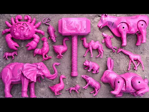 Membersihkan hewan sapi, bebek, angsa, ayam, gajah, simpanse, singa, unta, buaya, kangguru