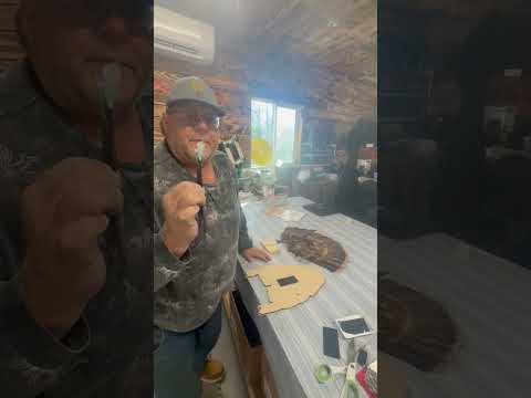 Turkey Tail and Beard display kit