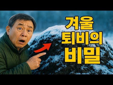 겨울 퇴비의 비밀: 꽁꽁 언 한겨울에도 퇴비를 작동시키는 노하우!