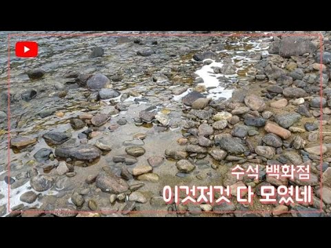 수석 백화점. 이것저것 다 모였네