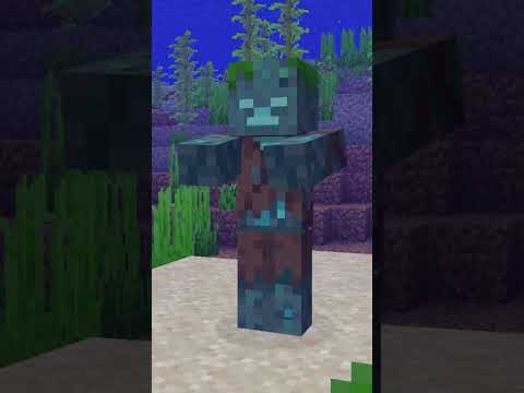 NIEMAND BRAUCHT DAS IN MINECRAFT...