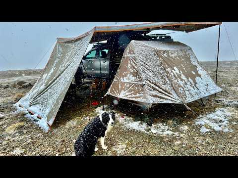 Surviving Epic Winter Storm with my Dog