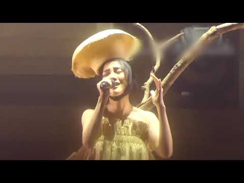 謝安琪 Kay Tse - 彳亍 @ kay...isn't me live 2019