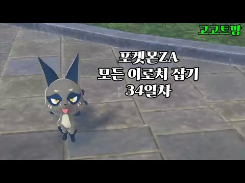 이로치가 쏟아집니다! - [포켓몬ZA]