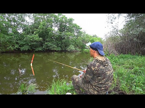 БАМБУК времён СССР и ПЕРО, КАК В ДЕТСТВЕ. Рыбалка на поплавочную удочку. Рыбалка на поплавок.
