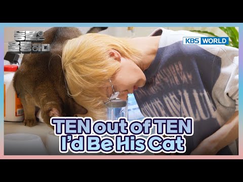TEN Wants to be a Professional Cat Chef😋 [Animals Are Incredible : EP.16-2] | KBS WORLD TV 250416