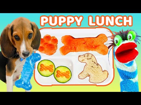Fizzy Helps Pack a Puppy Dog Theme Lunch for School Lunch Box