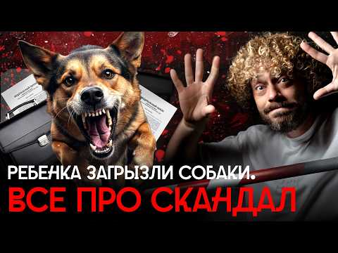 Нападения собак: эмоции против морали | Агрессивные стаи, закон о защите животных, коррупция