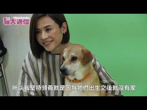 [ 貓犬通信 ] 宣萱 堅持領養給予愛