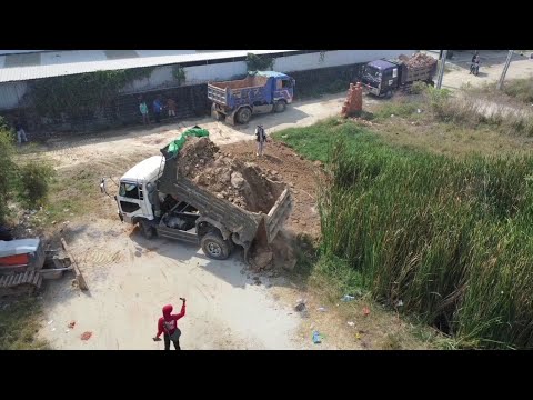 New project!! Dozer HITACHI and Truck 5T Pushing Dirt & Clear Land with Truck Unloading Dirt