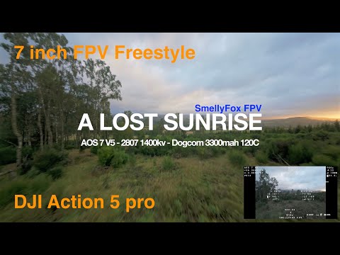 A long lost Sunrise - A 7 inch blast #7inchfpv #aosrcfpv #7inchfreestyle #djiaction5pro
