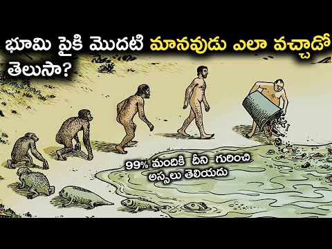 భూమి పైకి మొదటి మానవుడు ఎలా వచ్చాడు? | Human Evolution : How Did Life Begins | intense secret
