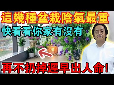 這幾種盆栽是要人命的催命符，多數人不知道還沉浸其中，再不扔掉你家的氣運早晚出問題！#倪海廈 #風水 #陽宅風水 #仙人掌風水 #廉貞煞