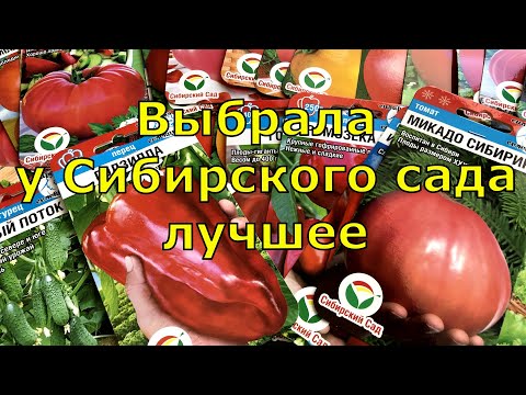 I WILL DEFINITELY PLANT THESE TOMATOES AND PEPPERS IN 2024, varieties for greenhouses and open gr...