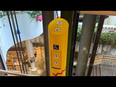 【車椅子呼ボタンの位置に注目】 三菱エレベーター 心斎橋BIGSTEP