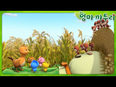 [엄마까투리 Best] 함께 하나 되어 | 엄마 까투리 | 까투리 | Katuri | 베스트 에피소드 모음 제87화