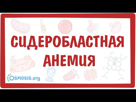 Сидеробластная анемия — причины, симптомы, патогенез, диагностика, лечение
