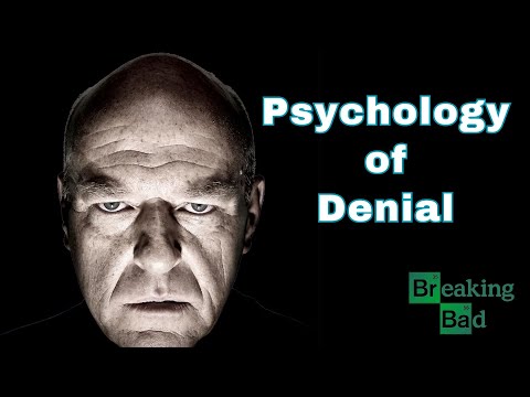 Why Did Hank Never See the Truth About Walter?