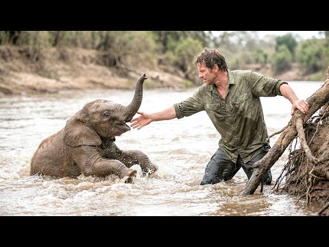 Man Risks His Life to Save a Baby Elephant And the Herd Saved Him Back | Rescue Short Film