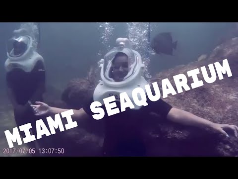 Seaquarium Miami