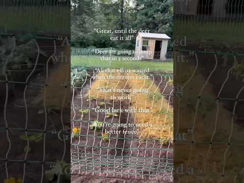 How to Keep Critters Out of Your Garden ⚡️#gardeningtips #electricfence