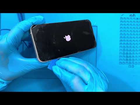 Cambio de Chasis iPhone 13 & Cambio de Batería.