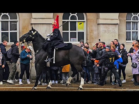 BRAVE POLICE OFFICER avoids CARNAGE IN THE YARD as new Horse quits at Horse Guards!