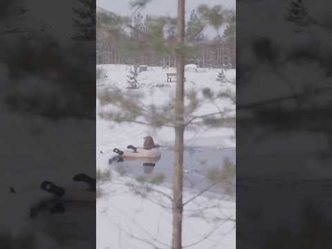 How to Survive Falling Through Ice