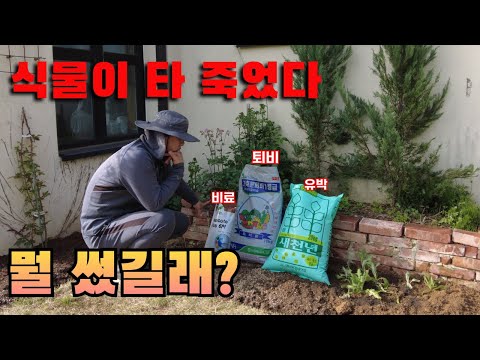 퇴비,비료,유박의 차이를 알고 쓰임을 알아야 꽃을 잘 키울 수 있습니다
