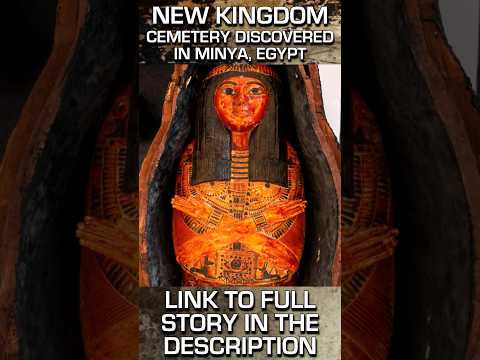 NEW KINGDOM CEMETERY DISCOVERED IN EGYPT #ancienthistory #ancientegypt #archaeology