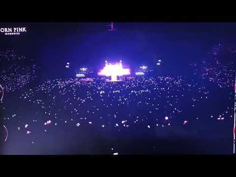 Rose blinks where are you 🩷💕