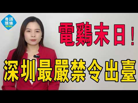 電雞末日！史上最嚴禁令引爆全城！800萬「電雞」一夜變廢鐵？騎手血淚控訴：飯碗俾人砸爛！新規背後，系800萬人生計嘅豪賭，仲系一場註定失敗嘅城市治理實驗？#查電動自行車 #查電雞 #禁電車 #禁電雞