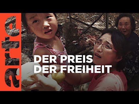 Wie Menschen aus Nordkorea fliehen | Doku HD Reupload | ARTE
