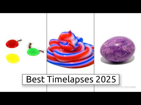 Best TEMPONAUT Timelapses 2025