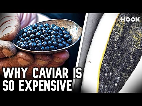 How Caviar Went from Poor Man's Food to $37,000 a Bite