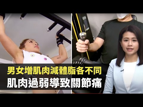 男女增肌肉減體脂各不同 肌肉過弱導致關節痛- TVB最強生命線 - 香港新聞 - TVB News- 黃靖婷