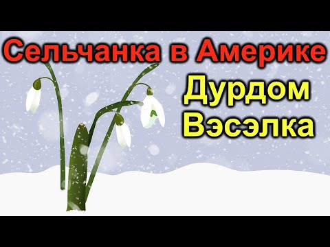 Сельчанка в Америке. Дурдом Вэсэлка