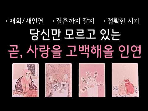 타로 | 무서울 정도로 정확한, 당신의 다음 연애상대를 알려드립니다 | 구페 or 뉴페 | 궁합 | 속마음 | 정확한 시기