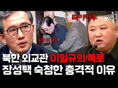 [#에이콕] 북한 외교관 이일규의 폭로😱 고모부 장성택 포함 수십 명 간부 한 번에 처형한 폭군 김정은?!⚡😨 | #이제만나러갑니다 685회