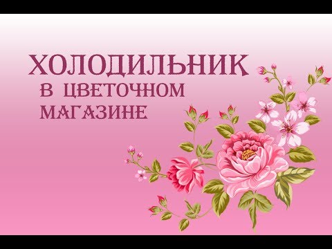 Холодильник для цветочного магазина: МОЙ печальный опыт