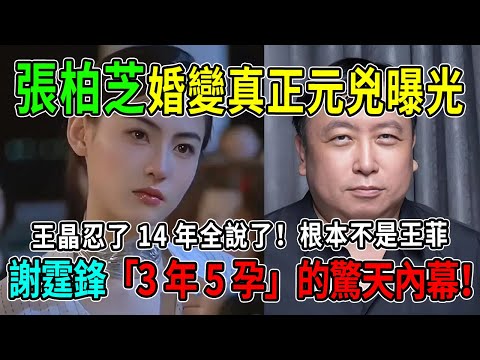 王晶忍了14年全說了！張柏芝婚變「真正元兇」曝光！根本不是王菲，而是謝霆鋒「3年5孕」的驚天內幕！#王菲 #張柏芝 #謝霆鋒 #謝賢 #熱門 #八卦