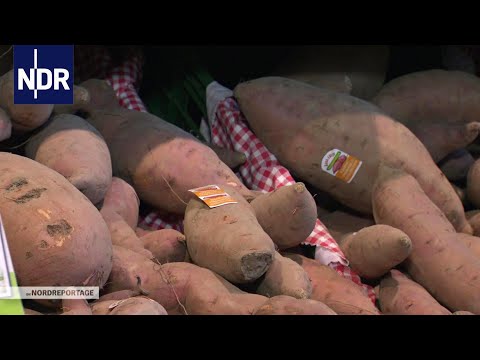 Ackern für die Süßkartoffel | NDR