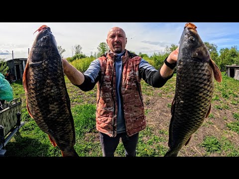 Fishing for spider CARP IN A PIPE or how I planted a field. Fishing in 2025. Fishing on the ski lift