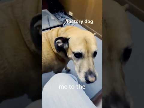 A business quest for the perfect part