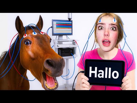 ICH habe MIT meinem PFERD GESPROCHEN! Funktioniert TIERKOMMUNIKATION wirklich?