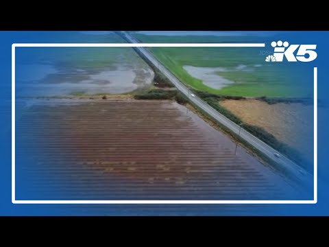 Atmospheric river returns to western Washington this week