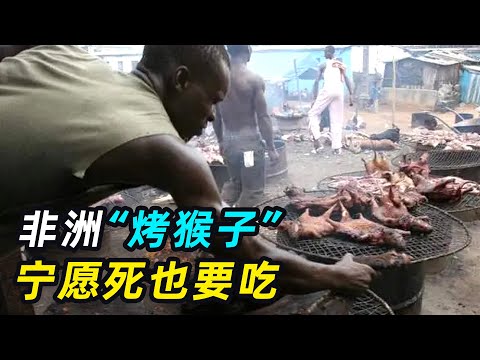 非洲人痴迷“烤猴子”，宁愿死也要一尝美味，简直不要太疯狂
