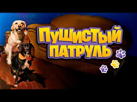 Пушистый патруль: миссия «Дом для щенка» приключение для всей семьи