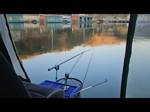 용인 상덕낚시터 붕어 어떨까?